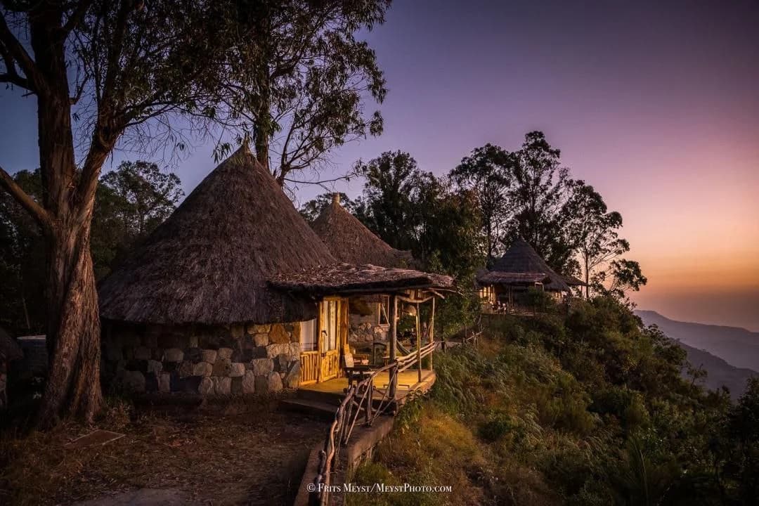 Dorze Lodge bamboo bungalows above the Rift Valley, Ethiopia